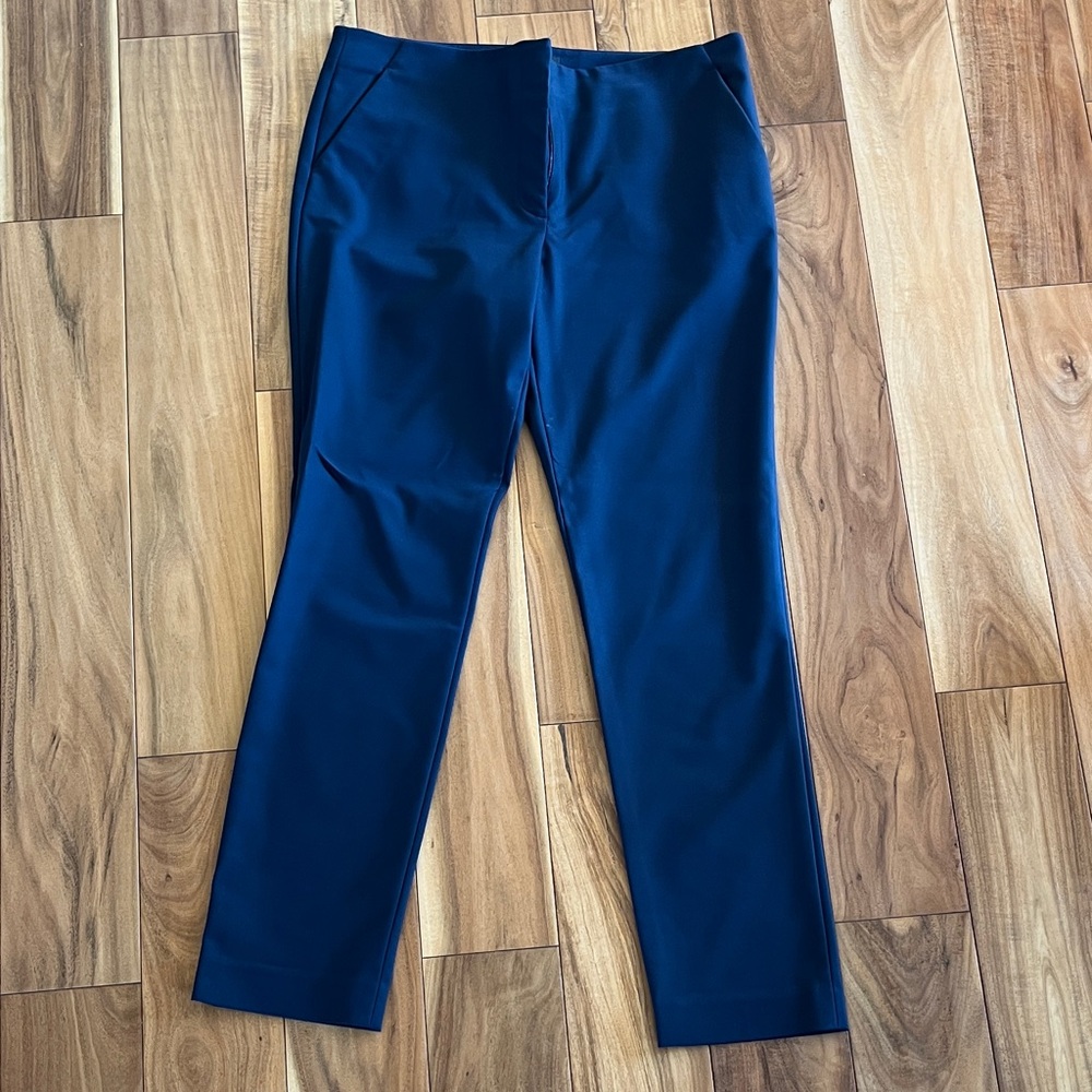 The Row Navy Blue Pants
